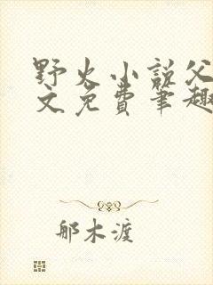 野火小说父女全文免费笔趣阁