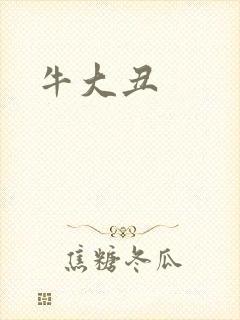 牛大丑封面
