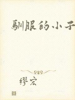 驯服的小子4封面