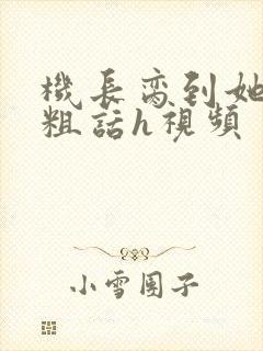 机长脔到她哭h粗话h视频