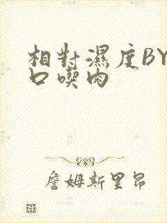 相对湿度BY大口吃肉