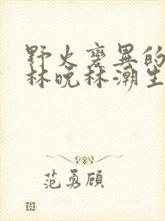 野火变异的父爱林晚林潮生