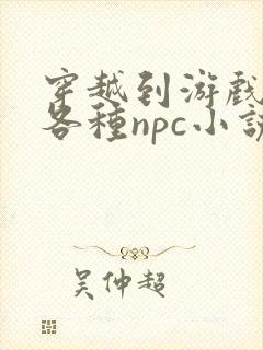 穿越到游戏里和各种npc小说封面