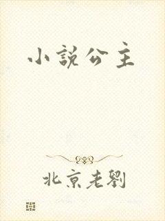 小说公主
