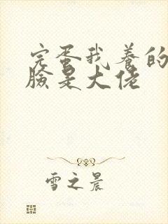 完蛋我养的小白脸是大佬