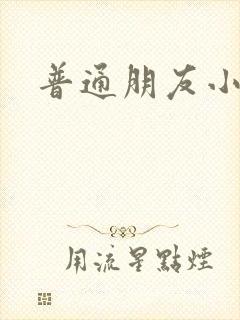 普通朋友小说封面