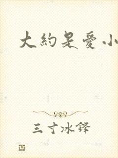 大约是爱小说封面