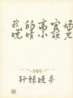 我的高官妈妈苏晚晴小说免费阅读封面