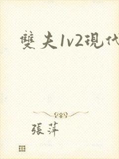 双夫1v2现代