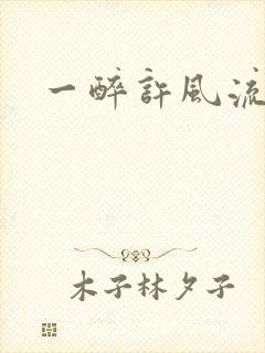 一醉许风流封面