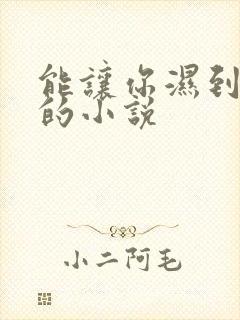 能让你湿到不行的小说