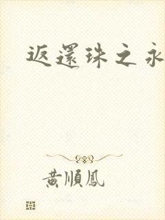 返还珠之永琪封面