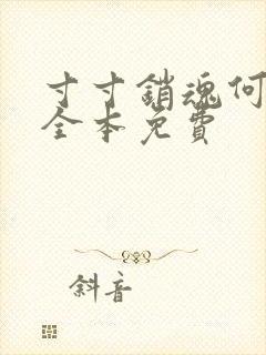 寸寸销魂何生祥全本免费