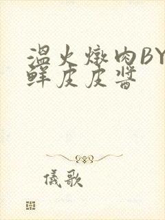 温火炖肉BY海鲜皮皮酱