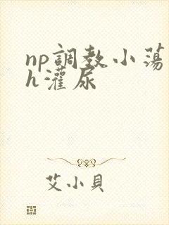 np调教小荡货h灌尿封面