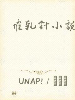 催乳针小说封面