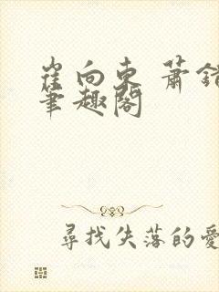 崔向东 萧错 笔趣阁