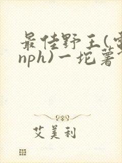 最佳野王(电竞nph)一坨薯饼