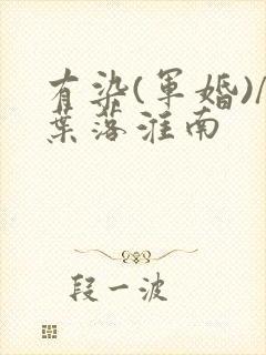 有染(军婚)/叶落淮南