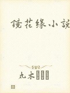 镜花缘小说