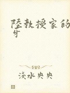 陆教授家的小月牙