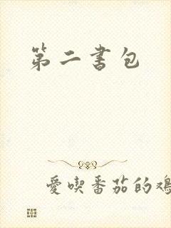第二书包