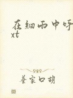 在细雨中呼喊txt