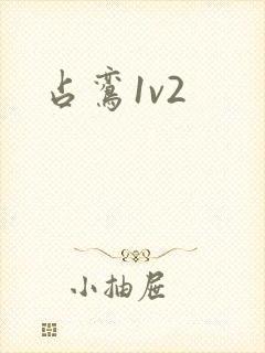 占鸾1v2