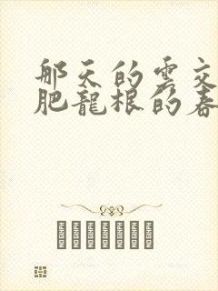 那天的云交雨合肥龙根的春天封面