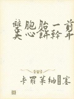 双胞胎一前一后夹心饼干年下封面