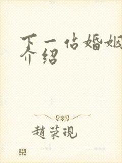 下一站婚姻剧情介绍