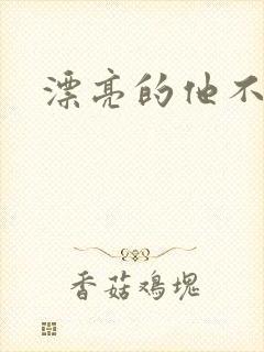 漂亮的他不说话封面