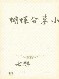 蝴蝶公墓小说封面