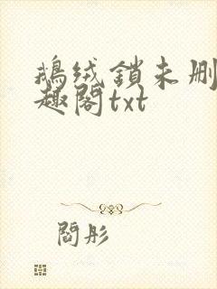 鹅绒锁未删除笔趣阁txt