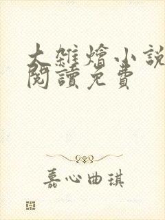 大杂烩小说全集阅读免费