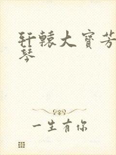 轩辕大宝芳菲雅琴