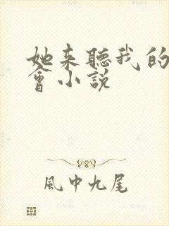 她来听我的演唱会小说