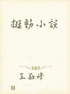 挺动小说封面