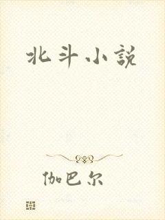 北斗小说