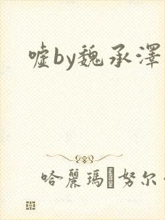 嘘by魏承泽封面