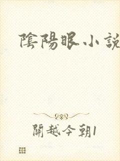 阴阳眼小说