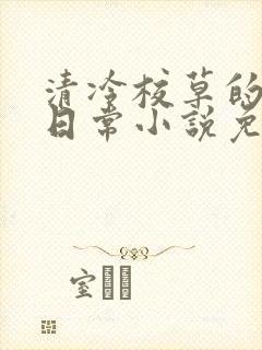 清冷校草的堕落日常小说免费阅读