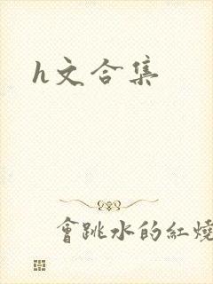 h文合集
