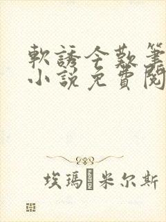 软诱今叹笔趣阁小说免费阅读