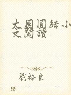 大团圆结小茹全文阅读