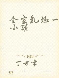 全家乱炖一锅烩小说