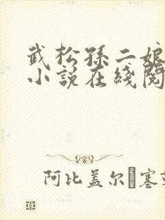 武松孙二娘云雨小说在线阅读封面