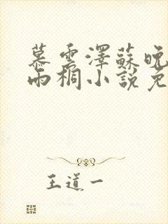 慕云泽苏晚晴夏雨桐小说免费阅读