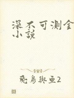 深不可测金银花小说封面