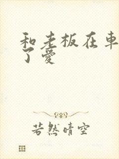 和老板在车里做了爱